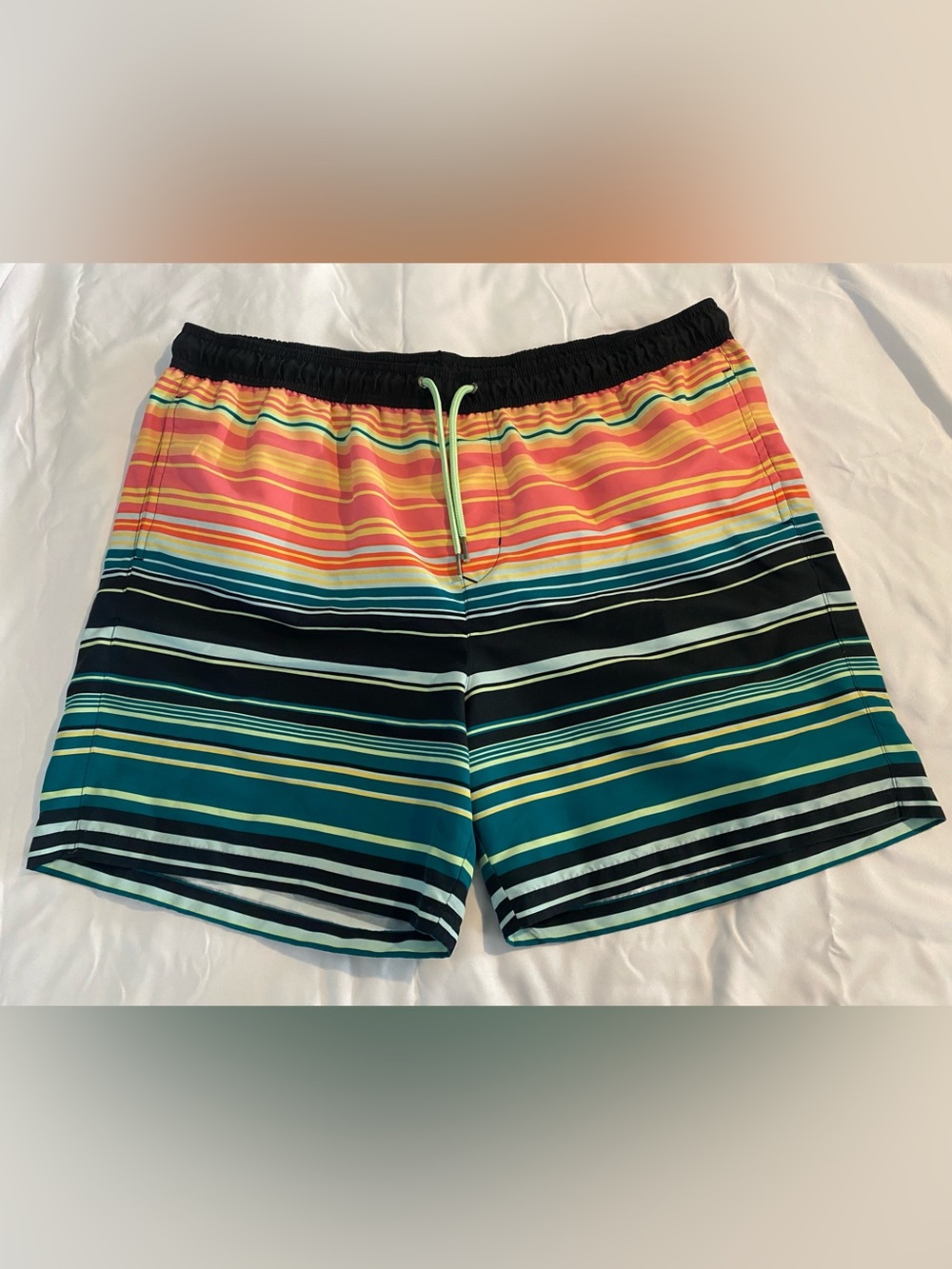 Men's Multicolor Striped Swim Trunks - Black Waist